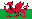 Welsh flag